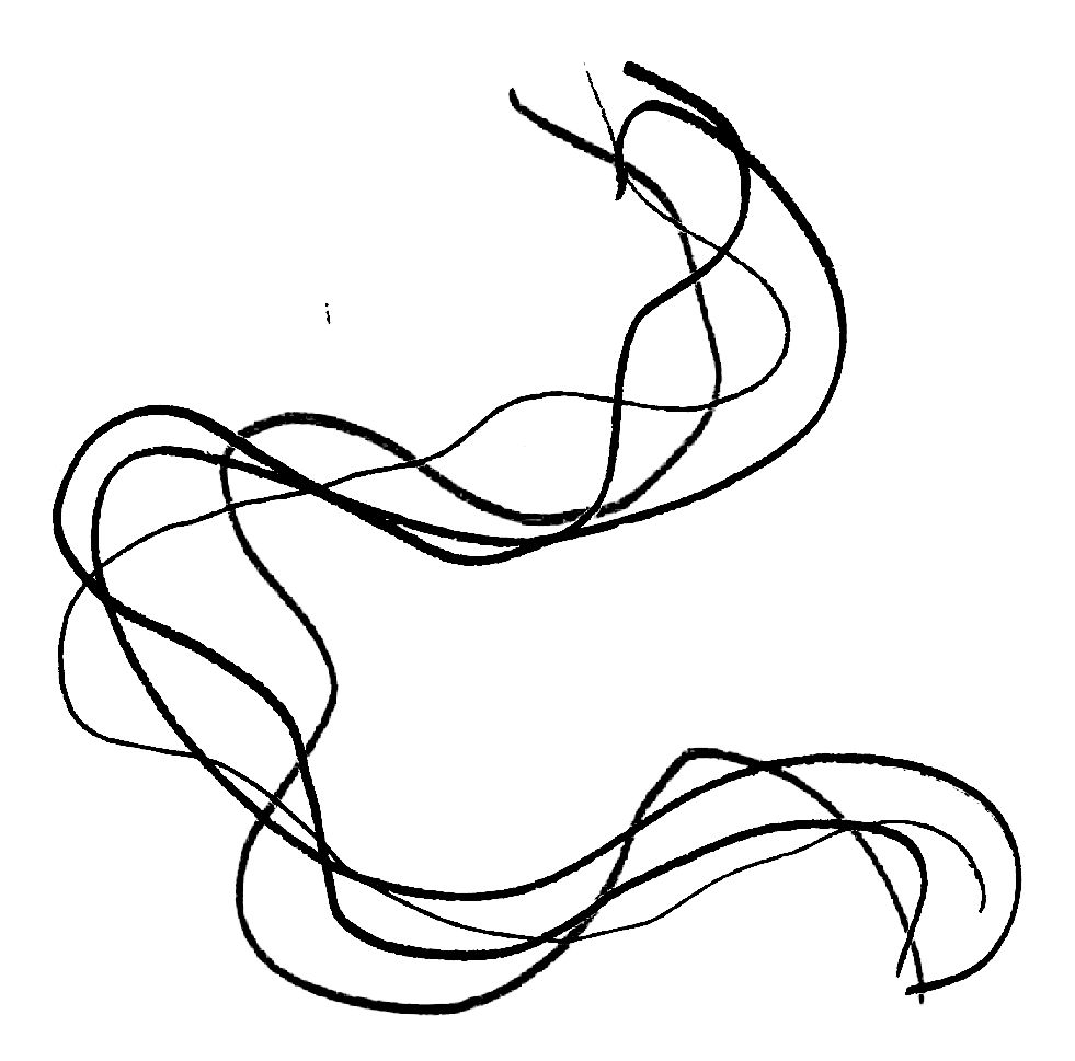 lineasjeannovelboas1